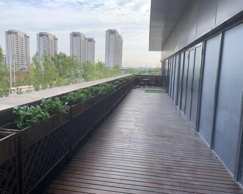 社區(qū)黨群文化