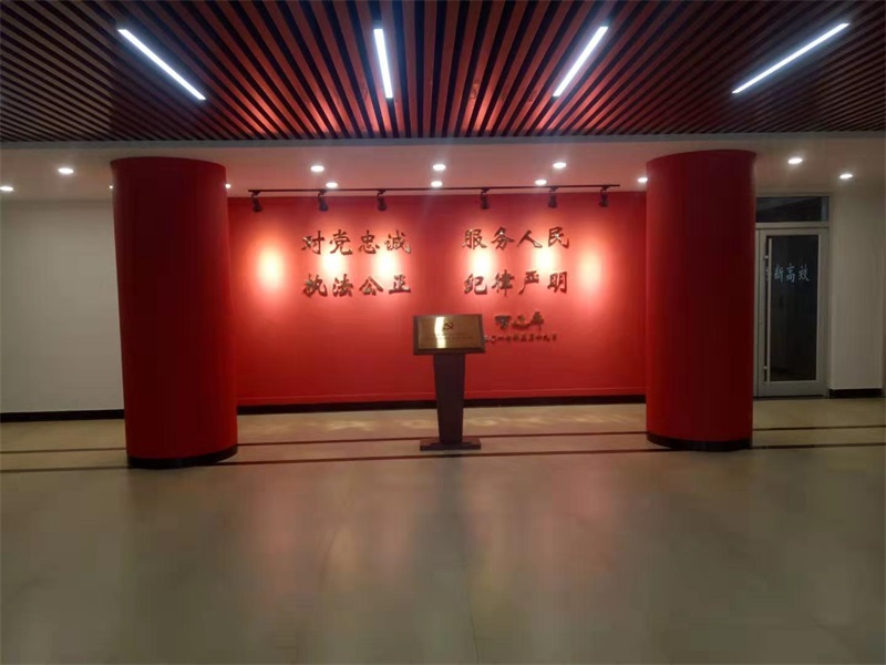 沂蒙精神黨建文化項目