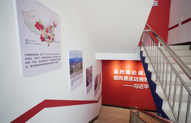沂蒙精神黨建文化項(xiàng)目
